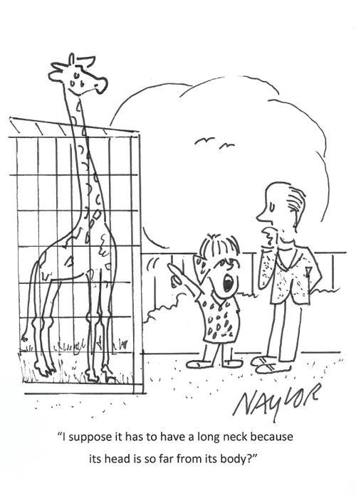 "I suppose it has to have a long neck because its head is so far from its body?"