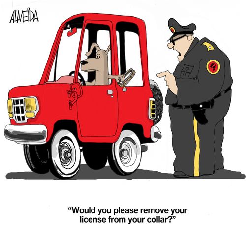 "Would you please remove your license from your collar?"