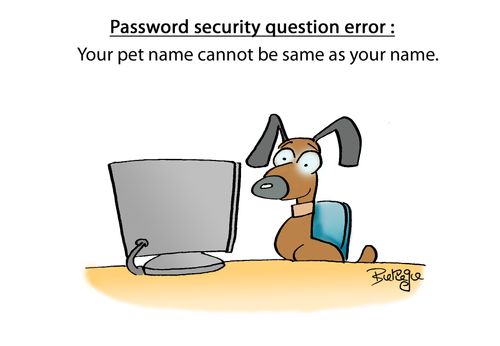 Password Security Question Error: Your pet name cannot be same as your name.