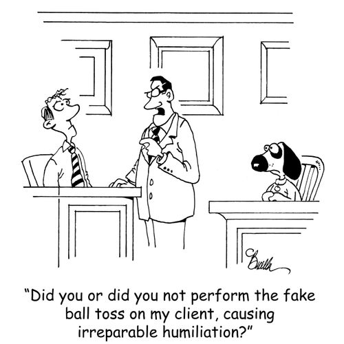 "Did you or did you not perform the fake ball toss on my client, causing irreparable humiliation?"