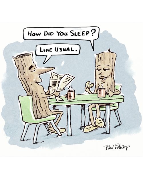 "How did you sleep?"