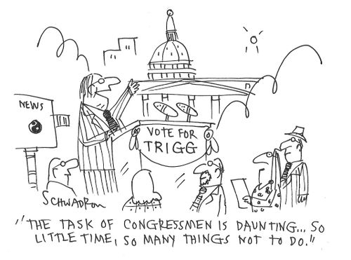 "The task of congressmen is daunting...so little time, so many things not to do."