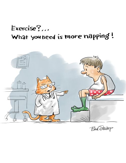 "Exercise?...What you need is more napping!"
