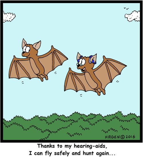 "Thanks to my hearing-aids, I can fly safely and hunt again..."
