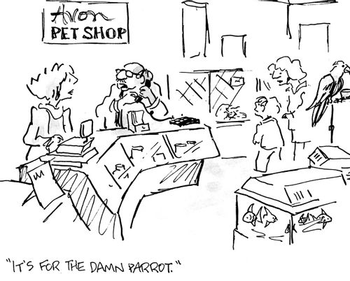 "It's for the damn parrot"