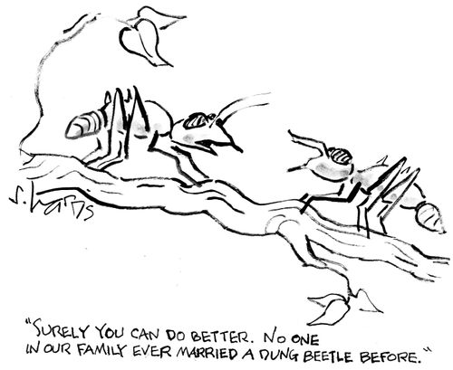 "Surely you can do better.  No one in our family ever married a dung beetle before."