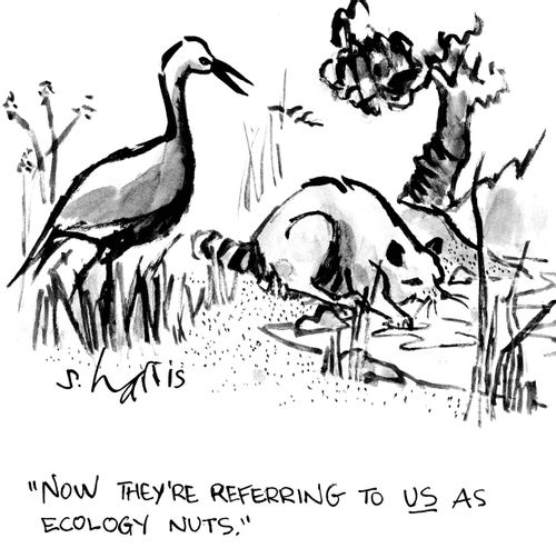 "Now they're referring to us as ecology nuts."