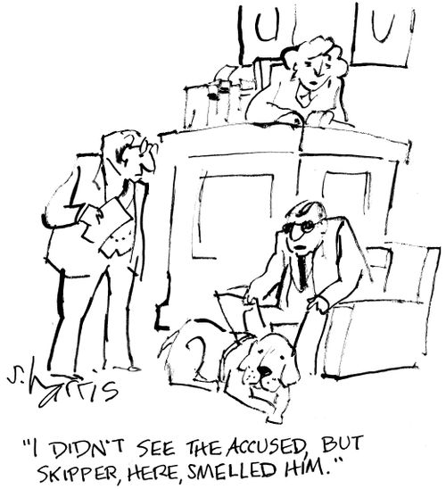 "I didn't see the accused, but Skipper, here, smelled him."