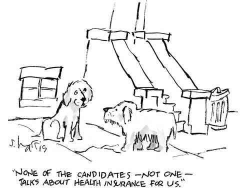 "None of the candidates - not one - talks about health insurance for use."