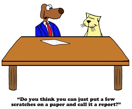 "Do you think you can just put a few scratches on a paper and call it a report?"