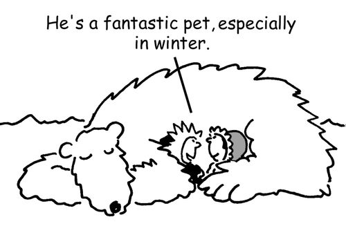 "He's a fantastic pet, especially in winter."
