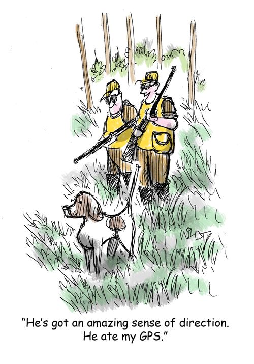 "He's got an amazing sense of direction. He ate my GPS."
