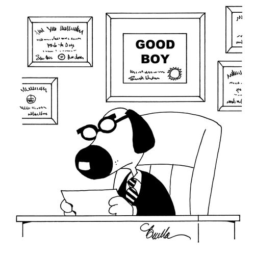 Good Boy diploma