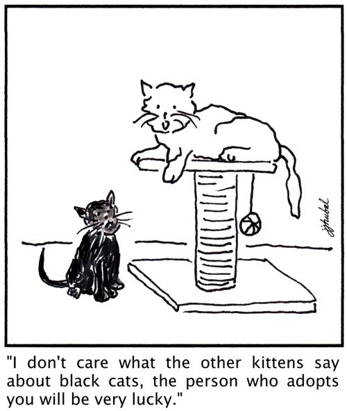 "I don't care what other kittens say about black cats, the person who adopts you will be very lucky."