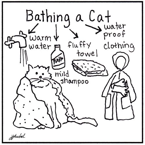 Bathing a Cat