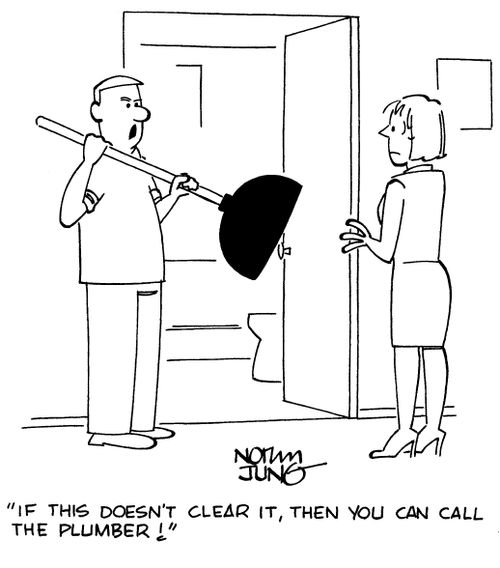 "If this doesn't clear it, then you can call the plumber!"