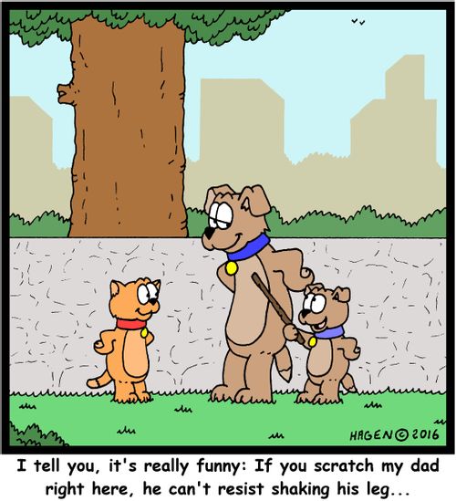 "I tell you, it's really funny: If you scratch my dad right here, he can't resist shaking his leg..."