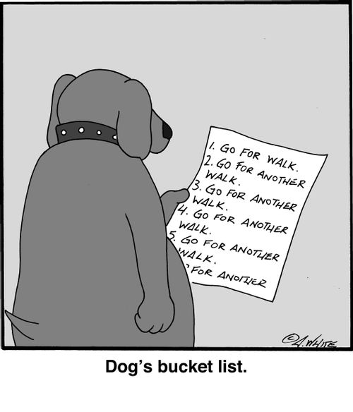 Dog's bucket list.