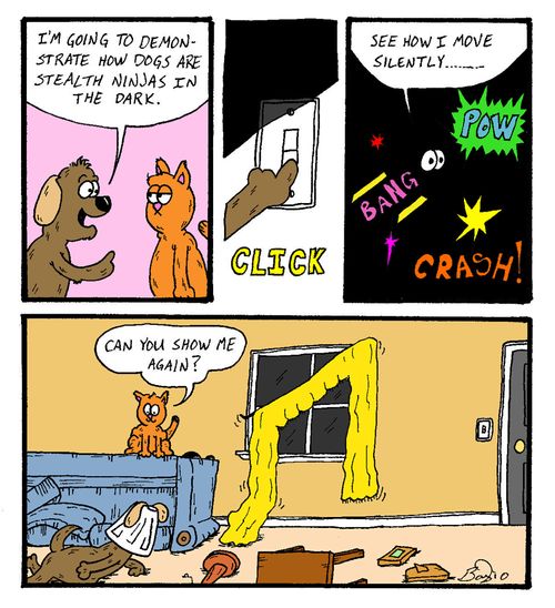"I'm going to demonstrate how dogs are stealth ninjas in the dark.  See how I move silently....."
