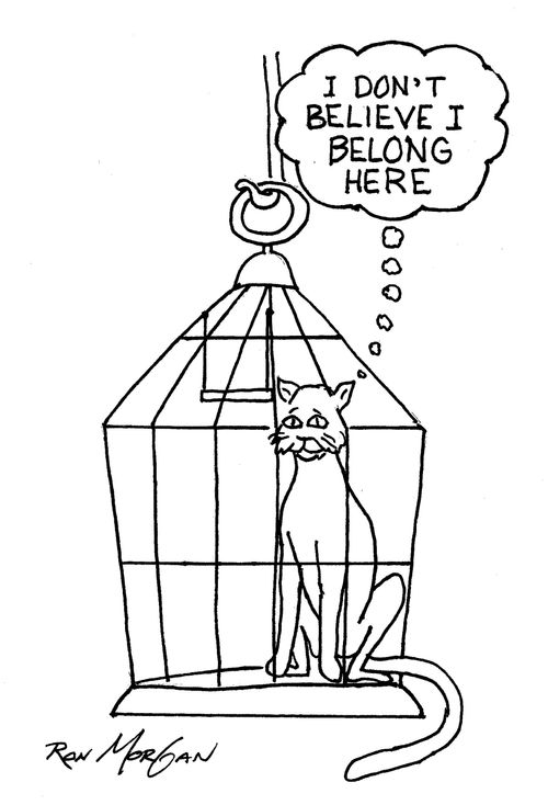 "I don't believe I belong here."
