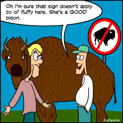 "Oh I'm sure that sign doesn't apply to ol' fluffy here. She's a GOOD bison."