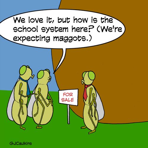 "We love it, but how is the school system here? (We're expecting maggots.)"