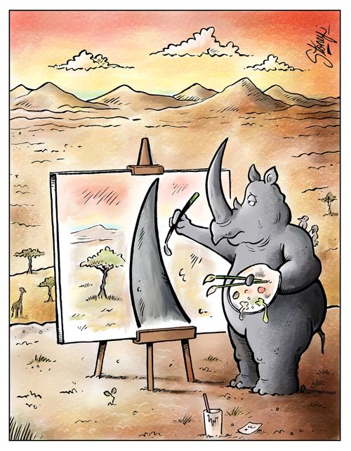 Rhino Art