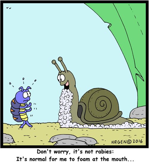 "Don't worry, it's not rabies: It's normal for me to foam at the mouth..."