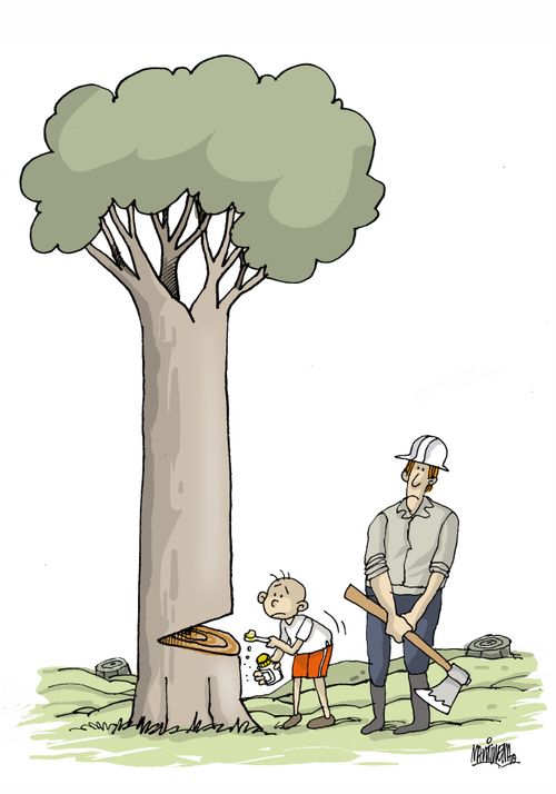 Little boy tries to glue a tree back together