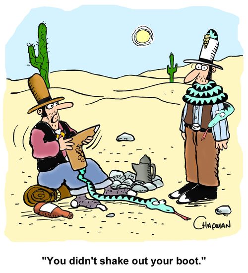 "You didn't shake out your boot."