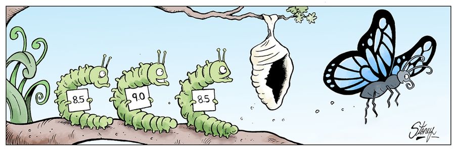 Butterfly Competitions
