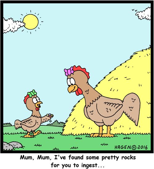 "Mum, Mum, I've found some pretty rocks for you to ingest..."