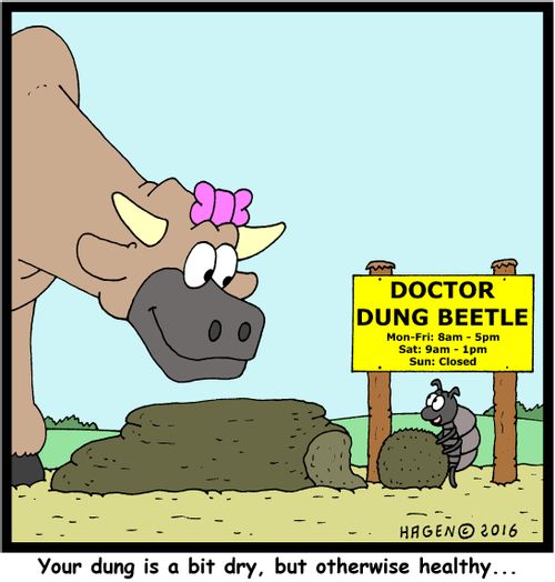 "Your dung is a bit dry, but otherwise healthy..."