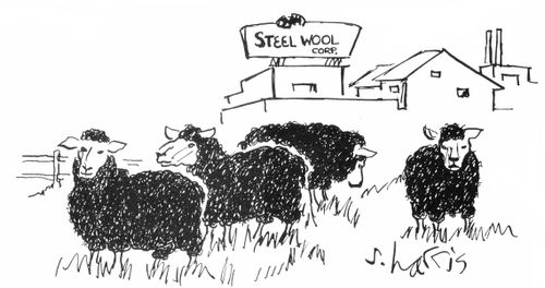 'Steel Wool' company
