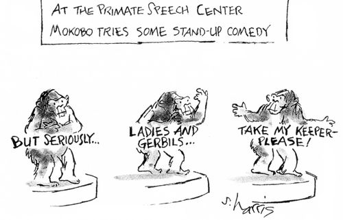 At the primate speech center, Mokobo tries some stand-up comedy...