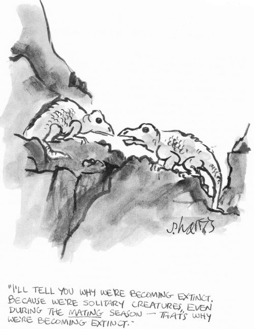 "I'll tell you why we''re become extinct. Because we're solitary creatures, even during the mating season...that's why we're becoming extinct."