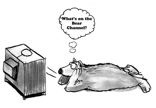 "What's on the Bear Channel?"