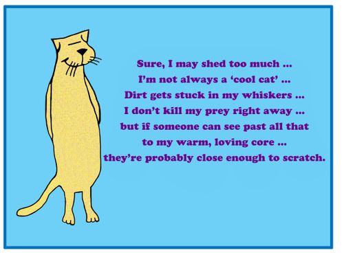 "Sure, I may shed too much...I'm not always a 'cool cat'...dirt gets tuck in my whiskers... and I don't kill my prey right away...but if someone can see past all that to my warm, loving core...they're probably close enough to scratch."