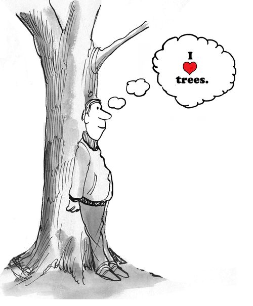 "I love trees."
