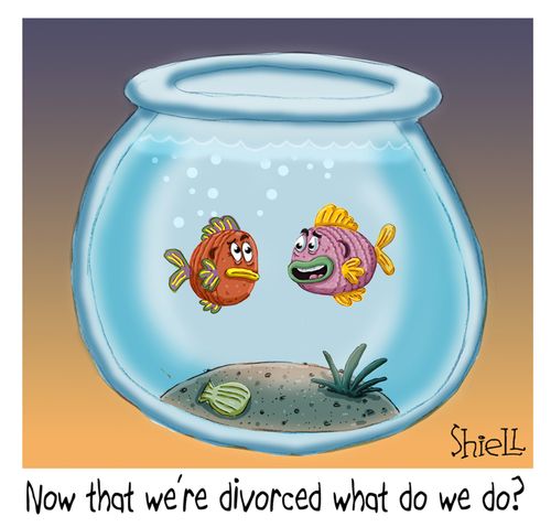 "Now that we're divorced what do we do?"