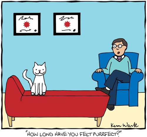 "How long have you felt purrfect?"