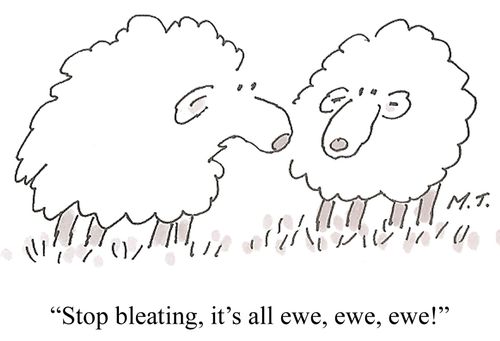 "Stop bleating, it's all ewe,ewe,ewe!"