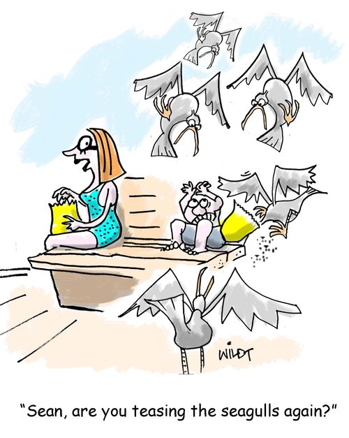 "Sean, are you teasing the seagulls again?"