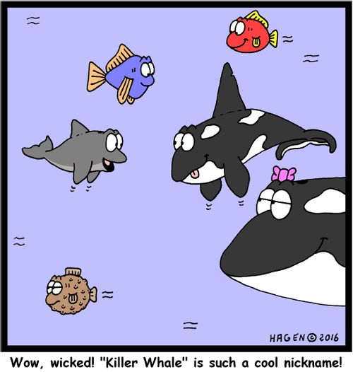 "Wow, wicked! "Killer Whale" is such a cool nickname!"