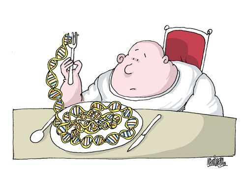 Genetic link to obesity.