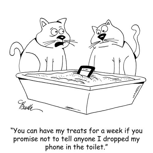 "You can have all my treats for a week if you promise not to tell anyone I dropped my phone in the toilet."