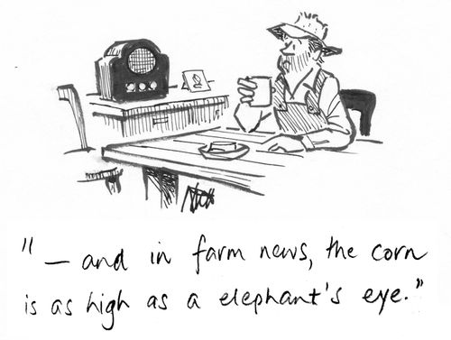 " - And in farm news, the corn is as high as a elephant's eye."