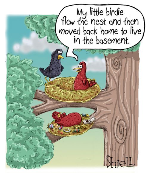 "My little birdie flew the nest and then moved back home to live in the basement."