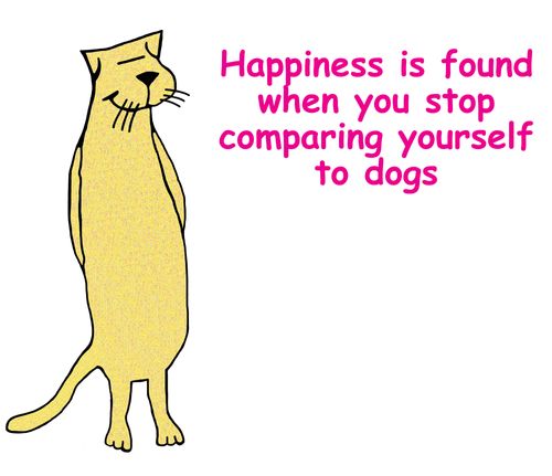 Happiness is found when you stop comparing yourself to dogs.