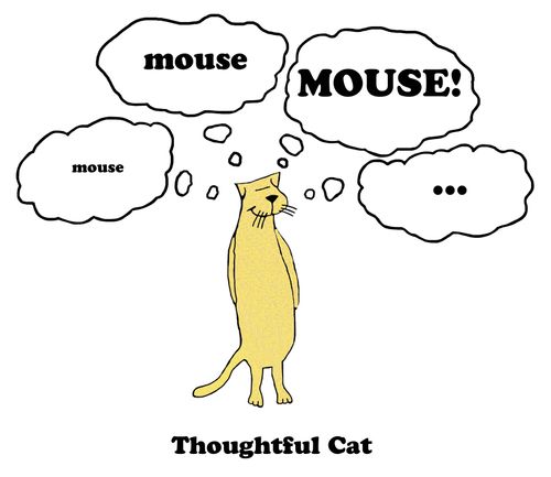 Thoughtful Cat